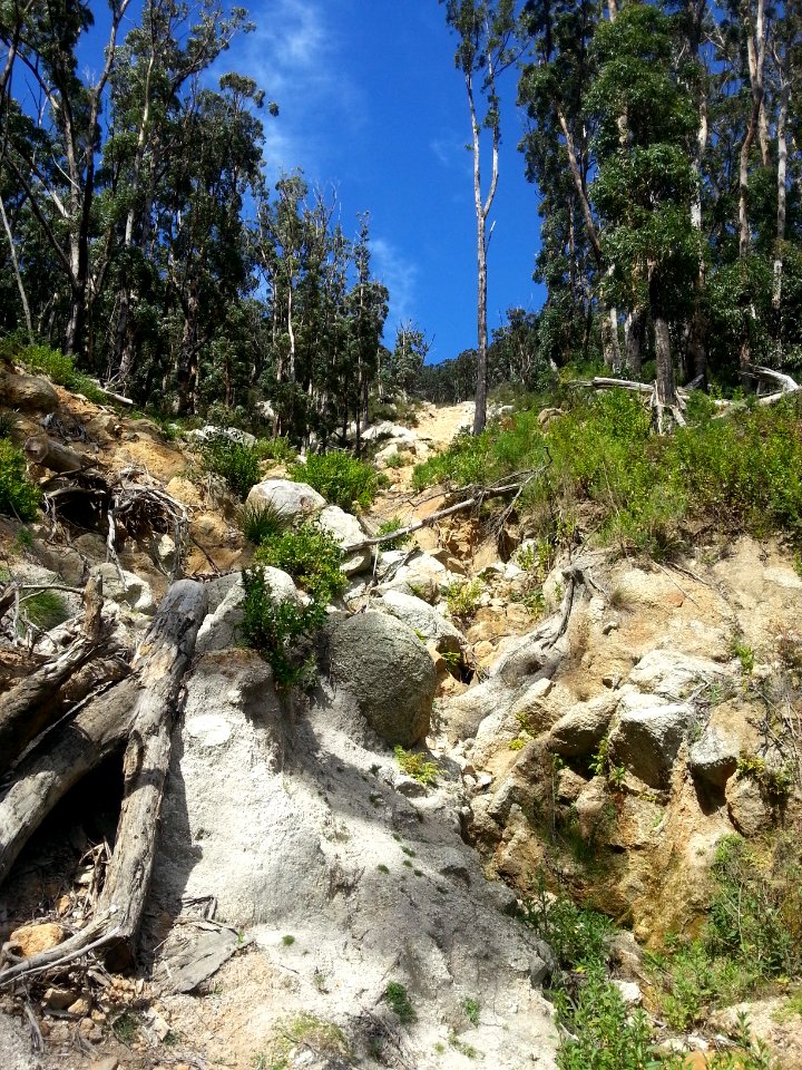Telegraph Saddle to Sealers Cove Track, Wilsons Promontory National Park 04