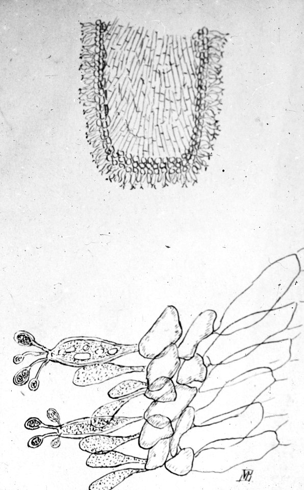 Tekening, Bestanddeelnr 193-0849