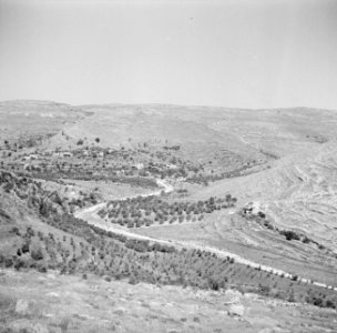 Terrassen in de heuvels van Judea nabij Jeruzalem, Bestanddeelnr 255-0863