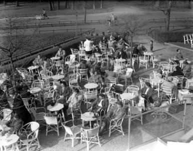 Terras Vondelpark, terras boertje, Bestanddeelnr 903-8521