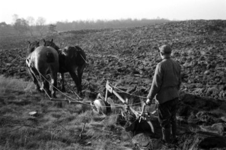 Terreinen, arbeiders, werktuigen, machines, paarden, Bestanddeelnr 170-0814