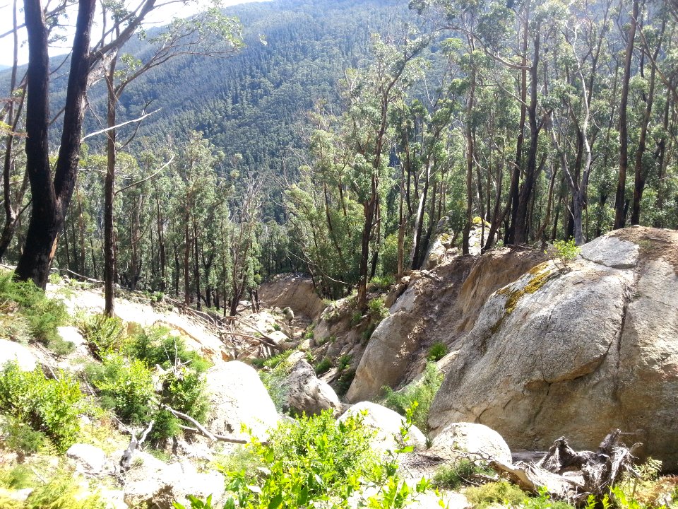 Telegraph Saddle to Sealers Cove Track, Wilsons Promontory National Park 01