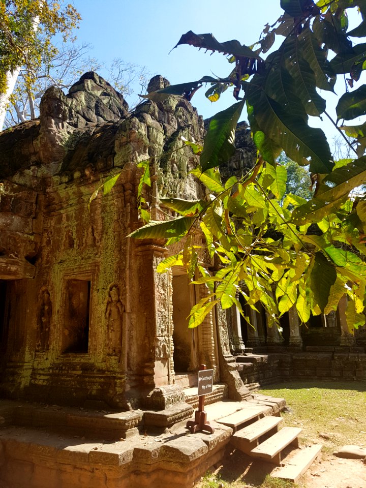 Ta Prohm, 2017-12-31 (055)