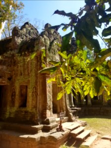 Ta Prohm, 2017-12-31 (055)