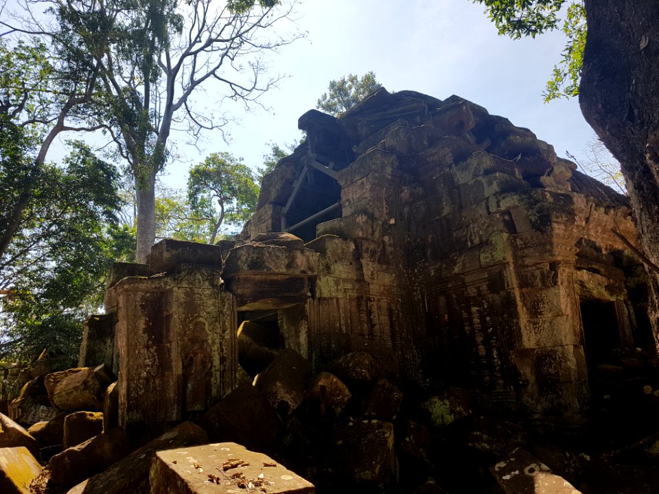 Ta Prohm, 2017-12-31 (033)