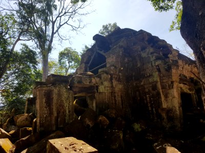 Ta Prohm, 2017-12-31 (033)