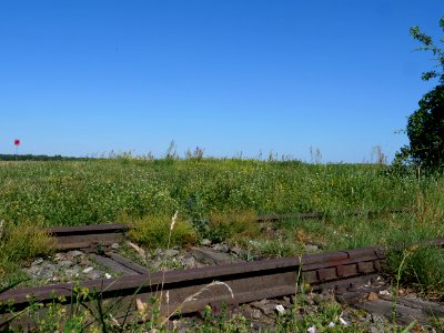 Tempelhofer Feld 2019-06-27 26