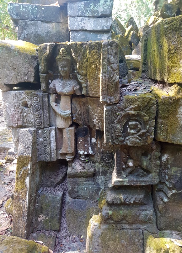 Ta Prohm, 2017-12-31 (011)