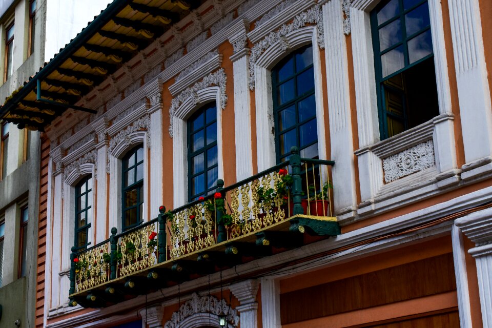 Window house building