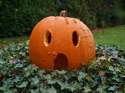 Halloween face carving