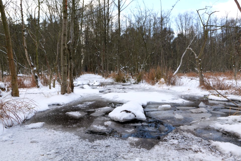 Teufelsbruch with snow 2021-02-10 40