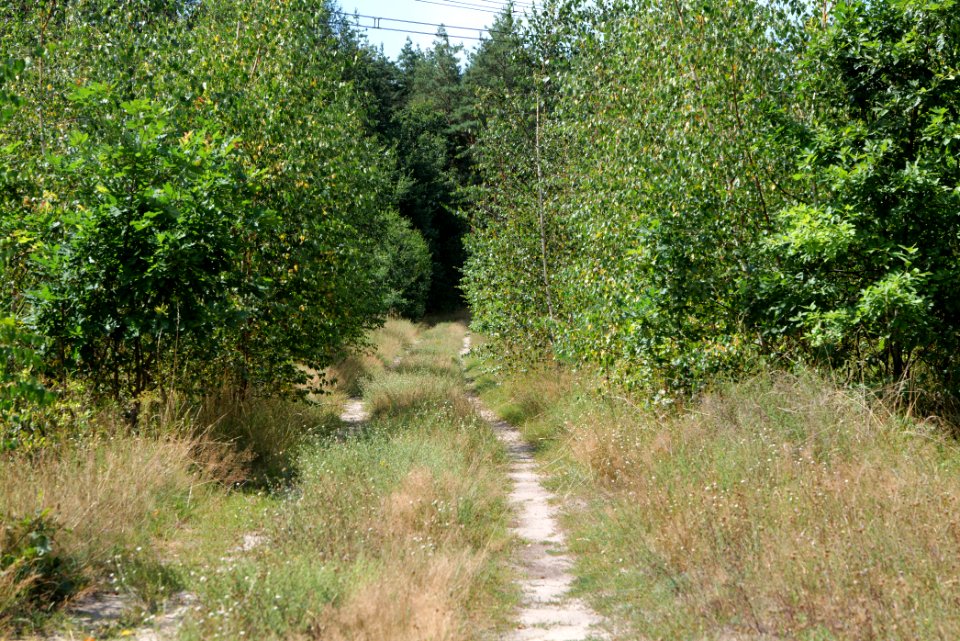 Strausberger Sander-, Os- und Barnimhanglandschaft 2020-08-05 17