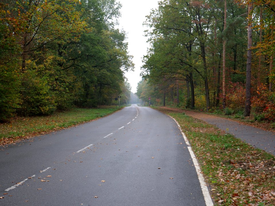 Teufelsseechaussee 2019-10-24 03