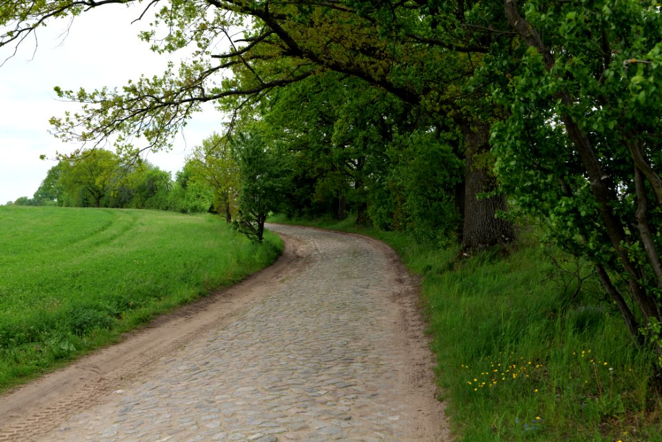 Street in Hardenbeck 2021-05-29 05