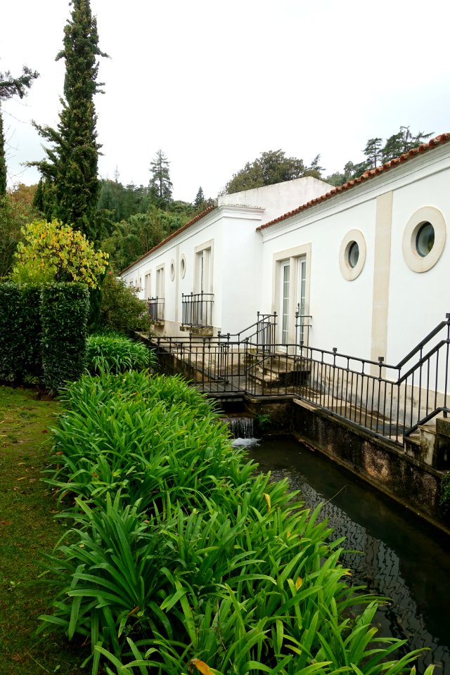 Stream - Quinta das Lágrimas - Coimbra, Portugal - DSC08753