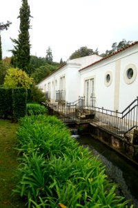 Stream - Quinta das Lágrimas - Coimbra, Portugal - DSC08753
