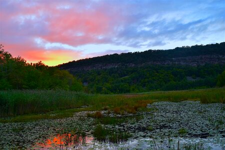 Red color nature photo