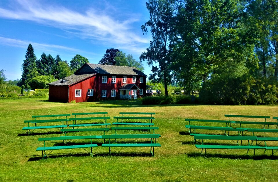 Grass summer day park bench