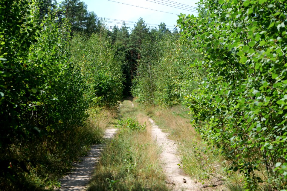 Strausberger Sander-, Os- und Barnimhanglandschaft 2020-08-05 15