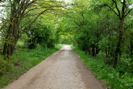 Street in Hardenbeck 2021-05-29 03
