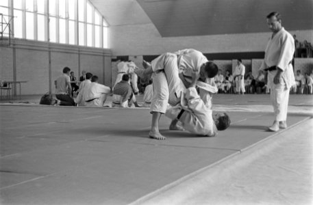 Studenten judo om Europese titel in Delft, overzicht uit teamwedstrijden, Bestanddeelnr 916-6086