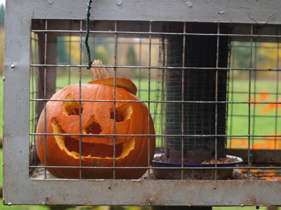 Halloween face carving