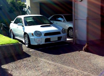 Subaru IMPREZA WRX STi (GDB) and cat