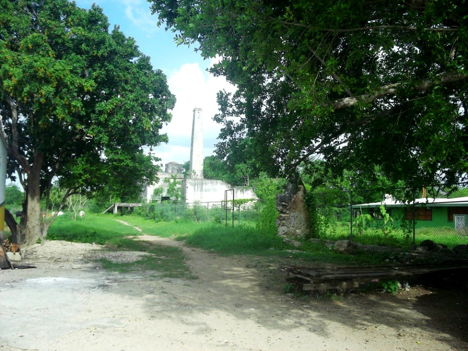 Tepich Carrillo, Yucatán (03)