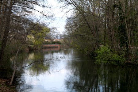 Spree from Käthe-Kollwitz-Ufer Cottbus 2021-04-24 05