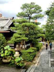Tensho-ji (Kyoto) - DSC05881