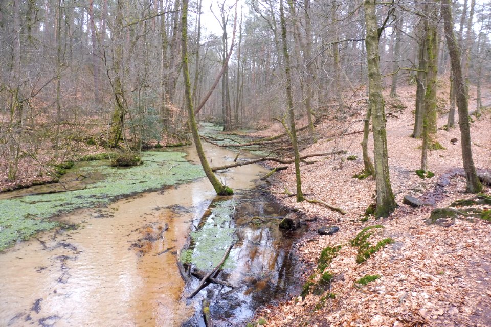 Stukenbrock - Furlbachtal - 12
