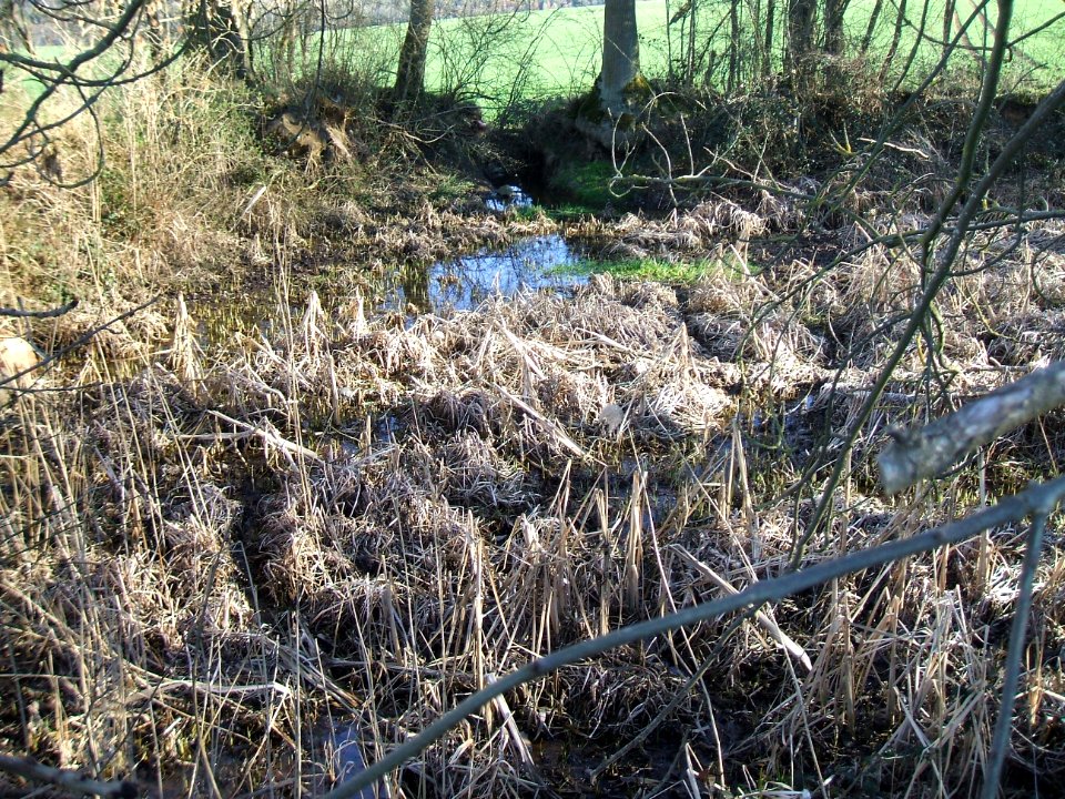 Stuhlgraben Ablauf alter Teich