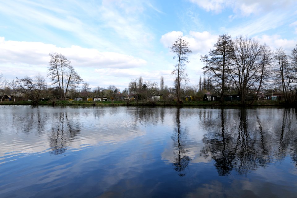 Spree in Spreeaue Cottbus-Nord 2021-04-24 08