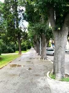 Street in Pula 62
