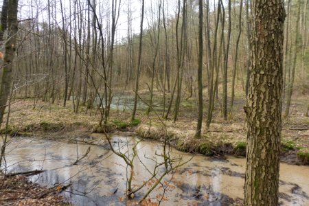 Stukenbrock - Furlbachtal - 5