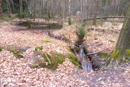 Stukenbrock - Furlbachtal - 16