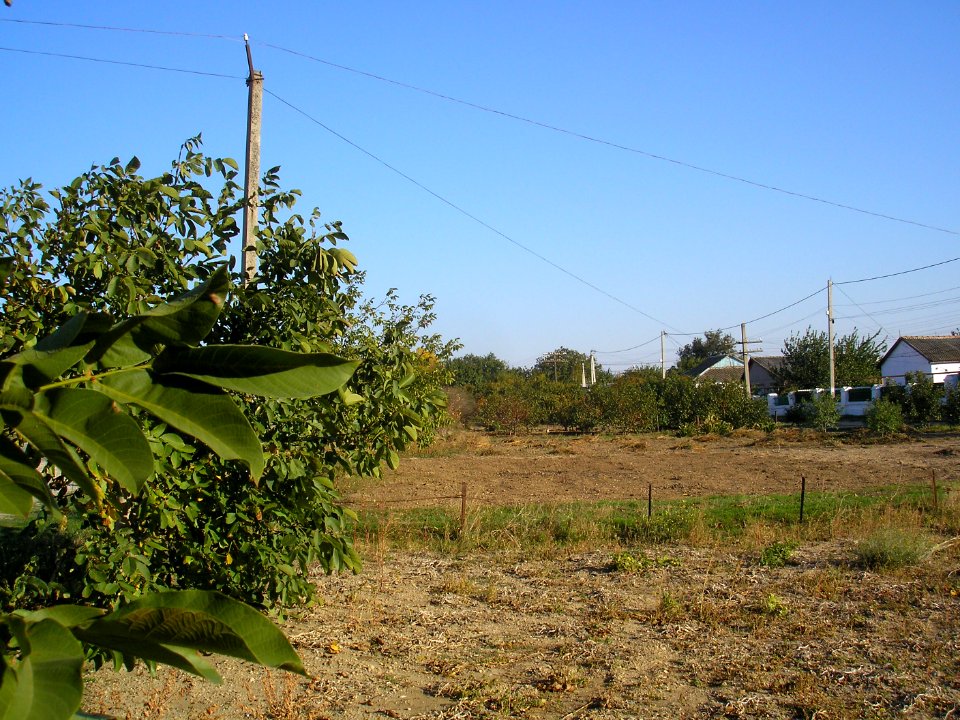Skvortsovo (Crimea) 10