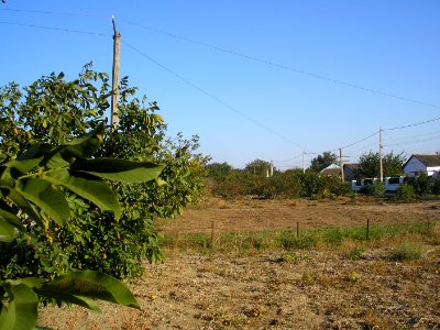 Skvortsovo (Crimea) 10