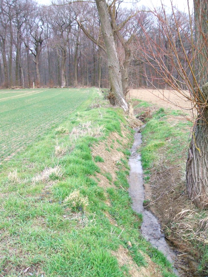Stuhlgraben von Hochsitz zu Waldrand
