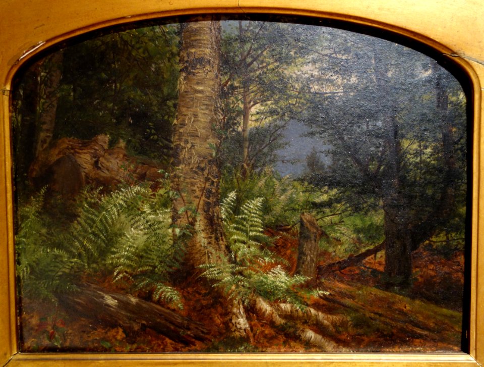 Study of Ferns by Fidelia Bridges, 1864, oil on board - New Britain Museum of American Art - DSC09315