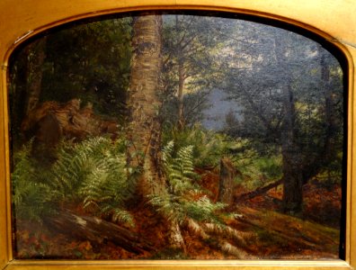 Study of Ferns by Fidelia Bridges, 1864, oil on board - New Britain Museum of American Art - DSC09315