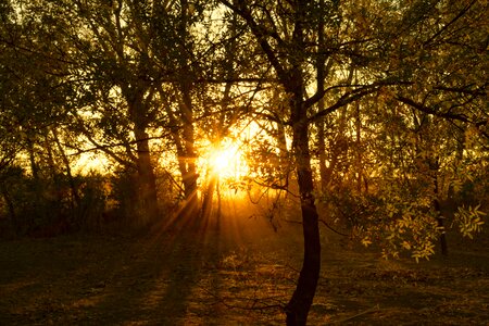 Tale evening sun setting sun