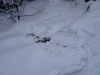 Slide path down steep mountain rock 3
