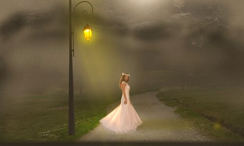 Fog bride road