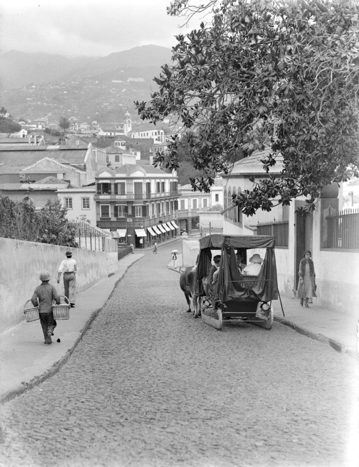 Slede in Funchal, Madeira In de slede van de Polls vrouw Nell Langlais, Bestanddeelnr 252-1550