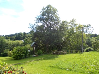 Slomšek House 07