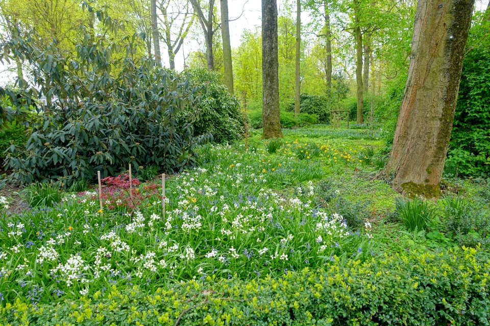 Springtime - Cinquantenaire - Brussels, Belgium - DSC08381