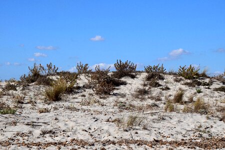 Wide sky sand beach