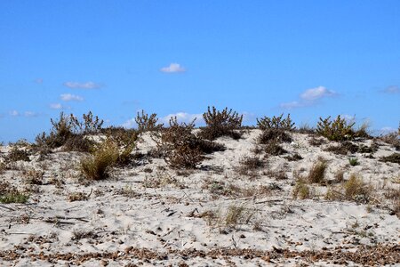 Wide sky sand beach photo