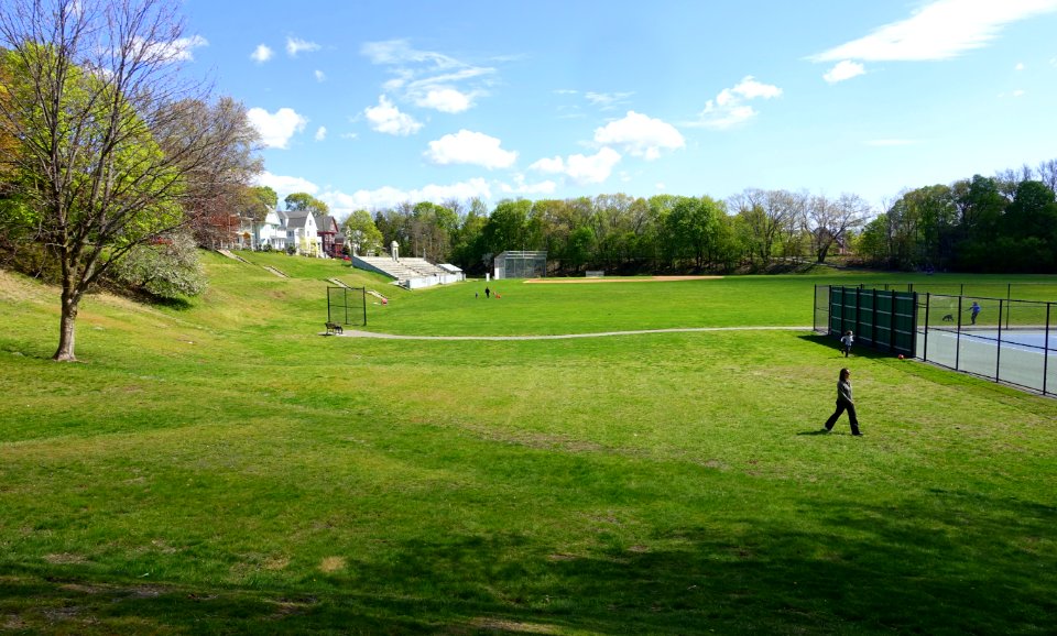 Spy Pond Field - Arlington, MA - DSC01363